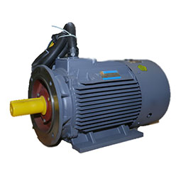 YD、YDT系列變極多速電動(dòng)機(jī)